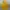 Vivastudio Streetwear Casual Sweater Pria yellow photo 3