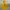 Vivastudio Streetwear Casual Sweater Pria yellow photo 1