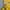 Vivastudio Streetwear Casual Sweater Pria yellow photo 5