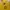 Vivastudio Streetwear Casual Sweater Pria yellow photo 2
