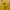 Vivastudio Streetwear Casual Sweater Pria Yellow
