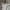 Polo Ralph Lauren Indie Minimalist Suit Pria White