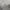 Carhartt Streetwear Skater Sweater Pria white photo 1