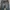 Lee Vintage Jeans Pria navy photo 4