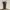 Vintage Y2K Jeans Pria black photo 1