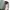 Kate Spade Luxury Wanita green blue photo 3