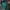 Polham Casual Hoody Pria green photo 1