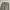 Von Dutch Vintage Streetwear Jeans Pria tan photo 5