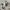 Reebok Sportswear Reworked Sneakers Pria white red photo 4
