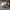 Diadora Streetwear Sportswear Sneakers Pria white gray photo 1
