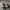Diadora Streetwear Sportswear Sneakers Pria white gray photo 4