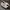 Diadora Streetwear Sportswear Sneakers Pria White Gray