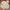 Carhartt Streetwear Casual Suit Pria gray photo 1