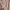 Japanese brand Lolita Coquette Maxi dress Wanita pink black photo 3