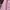 Casual Puffer jacket Wanita pink photo 4