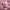 Casual Puffer jacket Wanita pink photo 5