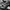 New Balance Sportswear Casual Sneakers Pria white black photo 2