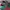 Adidas Indie Casual Sneakers Wanita green red photo 2