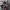 Adidas Indie Casual Sneakers Wanita green red photo 4