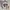 Wilson Sportswear Windbreaker Pria white photo 8