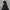 Y2K Gorpcore Puffer jacket Pria navy photo 2