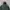 Uniqlo Y2K Gorpcore Puffer jacket Pria green photo 4