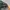 Uniqlo Y2K Gorpcore Puffer jacket Pria green photo 8