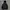 K2 Y2K Gorpcore Puffer jacket Pria black photo 3