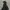 K2 Y2K Gorpcore Puffer jacket Pria black photo 2