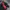 Vintage Sportswear Bomber jacket Pria red black photo 7