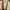 Victoria’s Secret Avant Garde Wanita gold photo 1