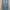 Spao Vintage Streetwear Jeans Pria blue photo 2