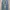 Spao Vintage Streetwear Jeans Pria blue photo 3
