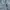 Spao Vintage Streetwear Jeans Pria blue photo 5
