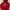 Hollister Streetwear Hoody Pria burgundy red photo 1