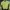 Polo Ralph Lauren Luxury Cardigan Kids multicolor photo 1