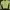 Polo Ralph Lauren Luxury Cardigan Kids Multicolor