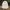 GAP Casual Puffer jacket Wanita white photo 1