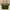 Longchamp Luxury Tote bag Wanita green photo 1