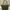 Longchamp Luxury Tote bag Wanita green photo 3