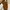 Fossil Luxury Bag Pria brown photo 5