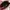 Daks Casual Shoulder bag Wanita pink photo 4