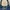 Anne Klein Casual Handbag Wanita blue photo 3
