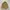 Wrangler Minimalist Casual Casual shirt Pria yellow photo 1