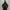 Schott NYC Gorpcore Sportswear Parka Pria black photo 6