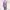 Minimalist Blouse Wanita purple photo 1