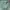 Polo Ralph Lauren Casual Harrington jacket Pria green photo 5