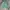 Polo Ralph Lauren Casual Harrington jacket Pria green photo 1