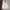 Casual Vest Pria white gray photo 1