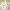 Japanese brand Casual Hoody Pria white photo 4